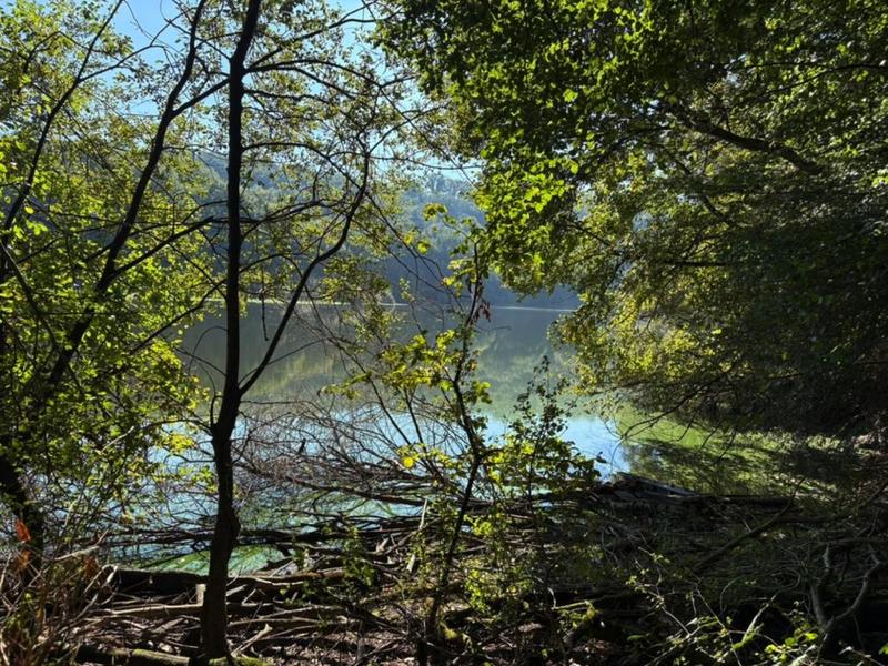 Maison ancienne - 110 m² - 4 pièces