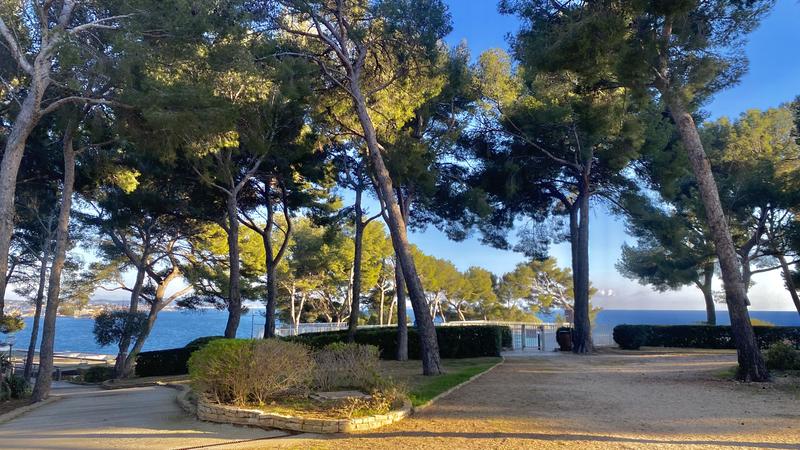 Appartement - 28 m² - 1 pièce