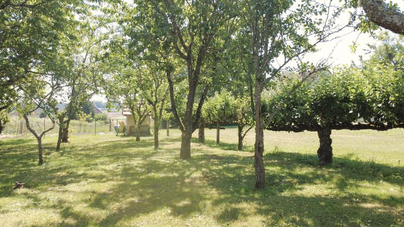 Maison ancienne - 220 m² - 11 pièces