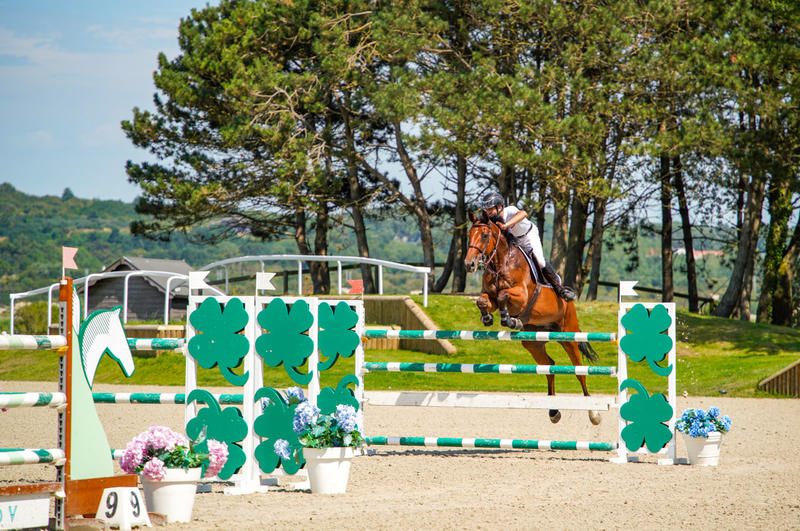 Equitation – Concours de Saut d'Obstacles Club / Poney / Amateur / Prépa