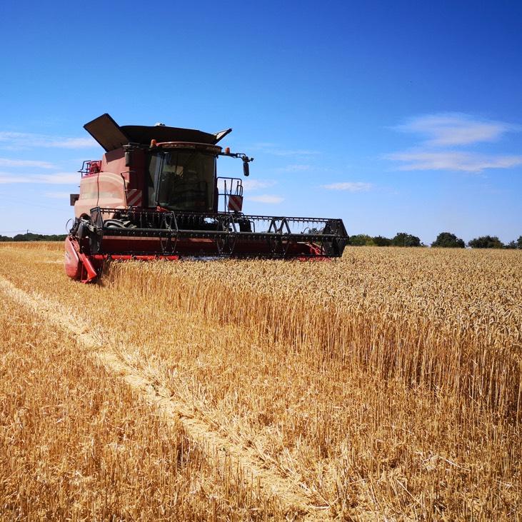 La Récolte des Gautier
