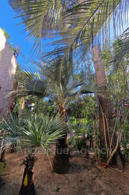 Maison - 126 m² - 6 pièces