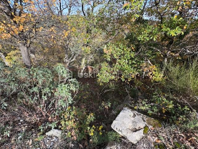 Terrain de loisirs - 10 850 m²