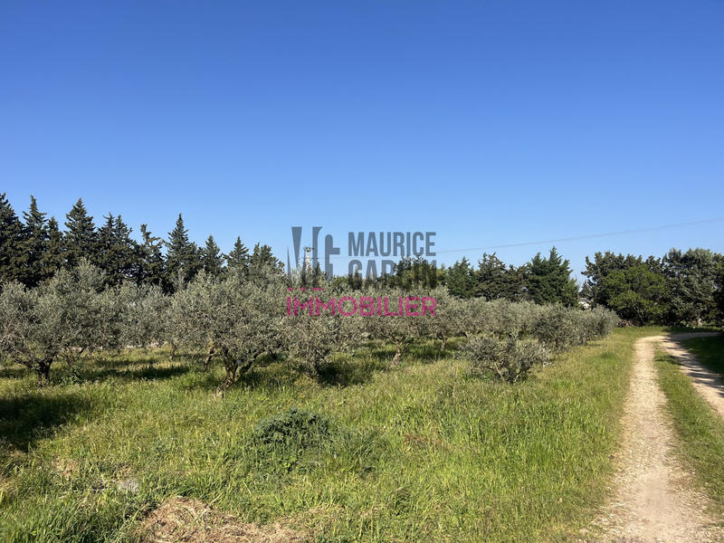 Maison - 234 m² - 9 pièces