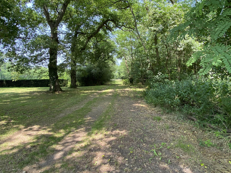 Maison - 280 m² - 7 pièces