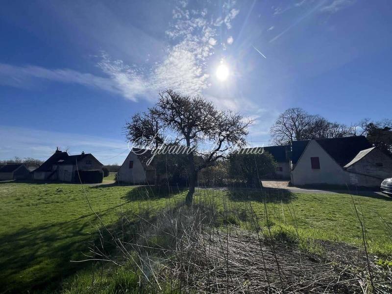 Maison - 600 m² - 5 pièces