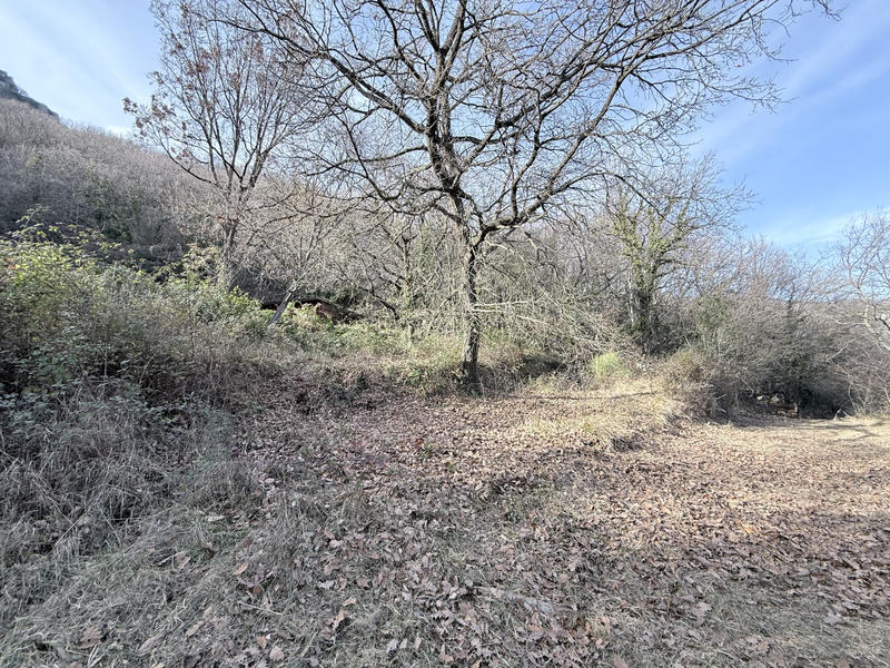 Terrain - 21 748 m²