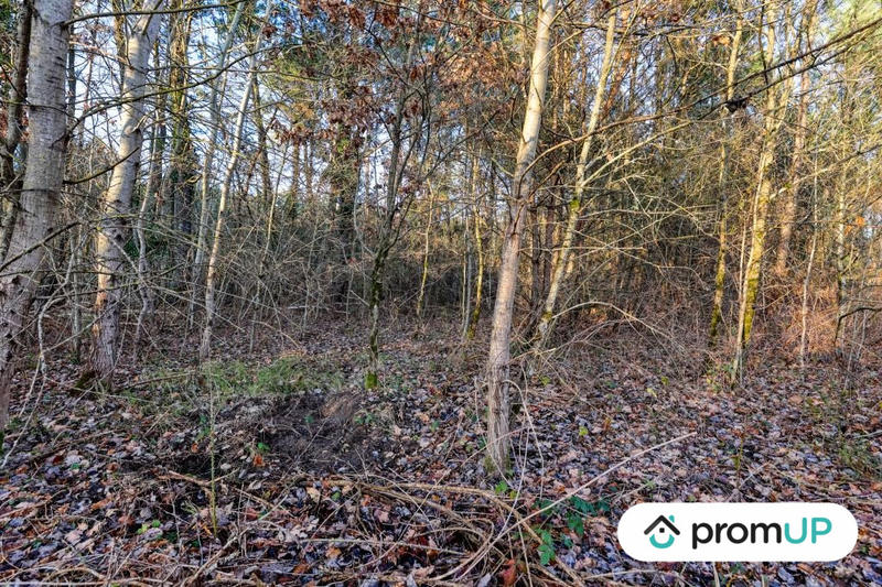 Terrain de loisirs - 1 595 m²