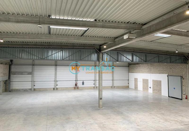 Local d'activité / Entrepôt - 3 290 m²