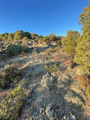 Terrain de loisirs - 2 400 m²