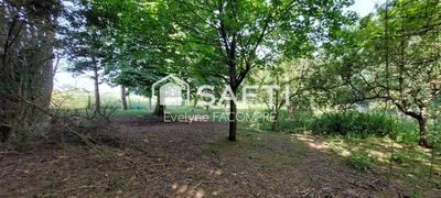 Terrain agricole - 6 393 m²