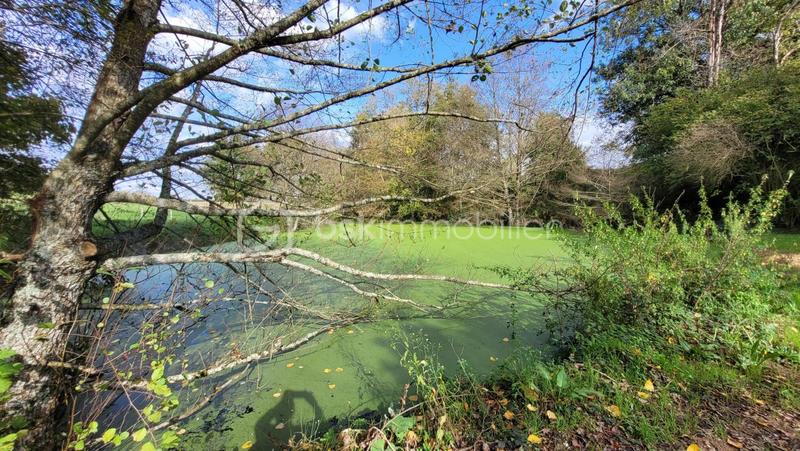 Maison - 150 m² - 8 pièces