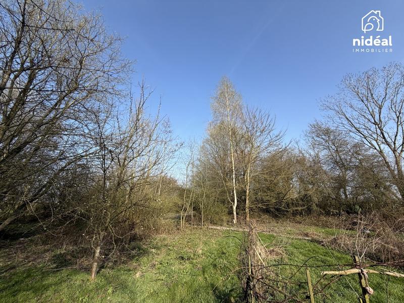 Terrain agricole - 4 645 m²