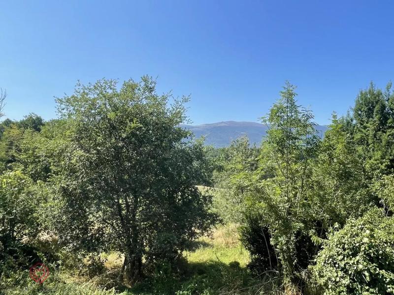 Maison en pierre - 108 m² - 6 pièces