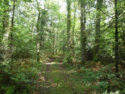 Terrain - 41 380 m²