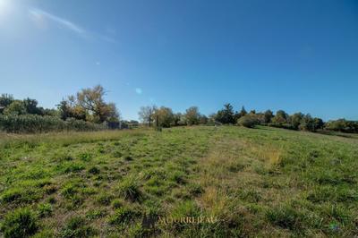 Terrain constructible - 2 499 m²