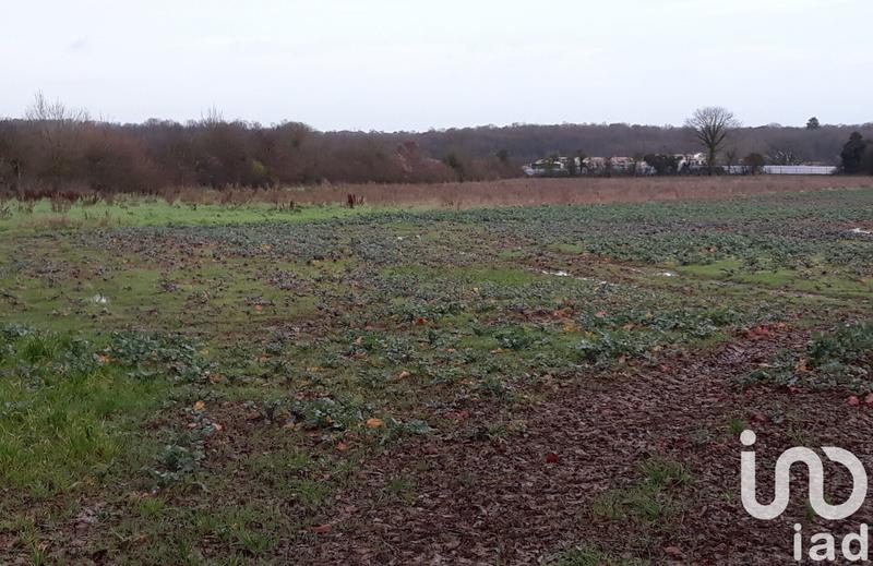 Terrain - 15 080 m²