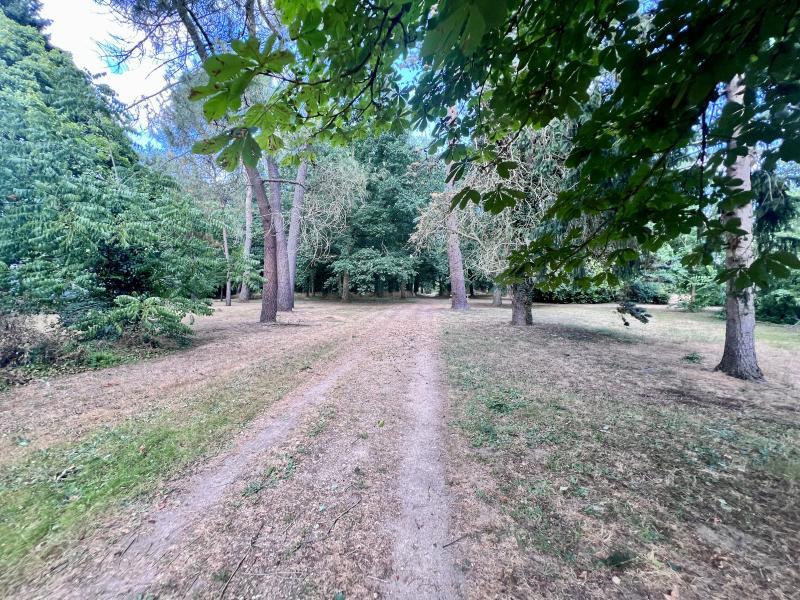 Appartement - 110 m² - 5 pièces