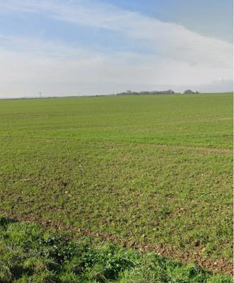 Terrain constructible - 340 m²