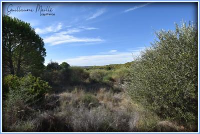 Terrain agricole - 13 660 m²