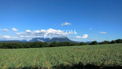 Propriété - 256 m² - 9 pièces