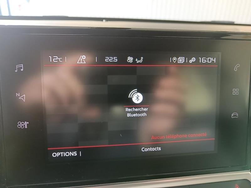 Citroën C4 Cactus Bluehdi 100 Bvm Feel