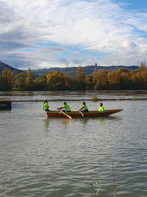 Vide greniers des sauveteurs de saint-romain-en-gal