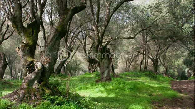 Appartement - 96 m² - 4 pièces