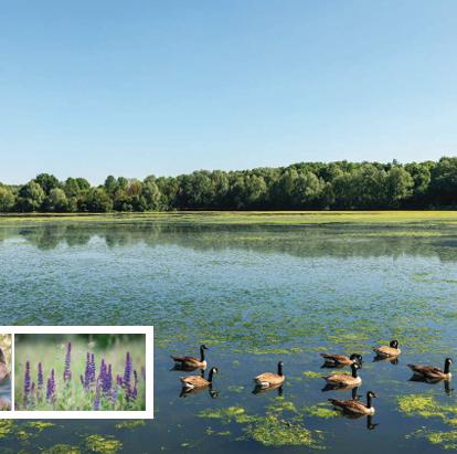 Appartement - 113 m² - 3 pièces