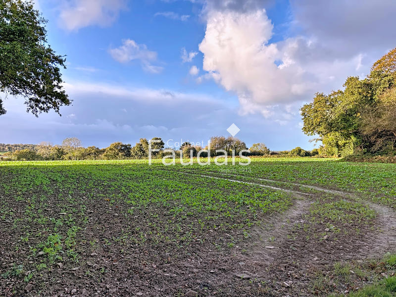 Terrain agricole - 33 554 m²