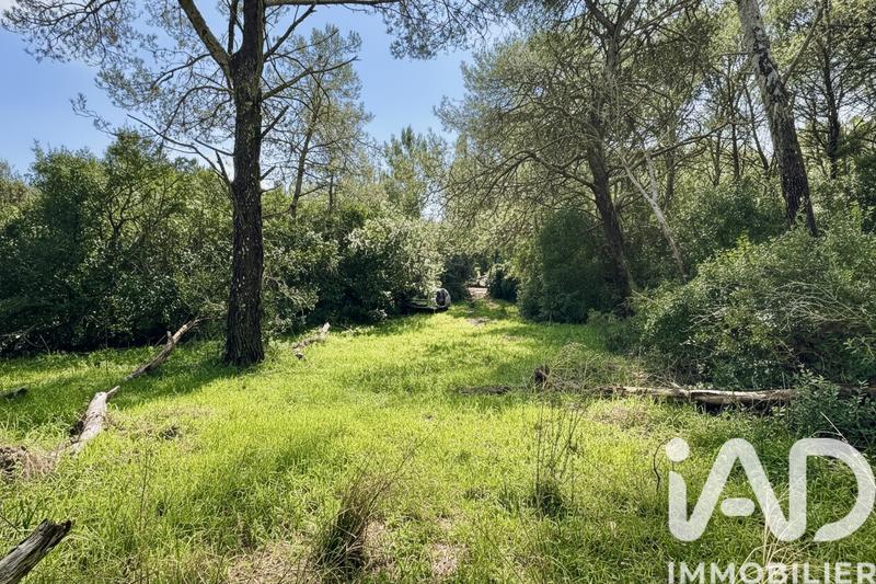 Terrain - 89 951 m²