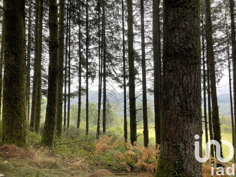 Ferme - 85 m² - 5 pièces