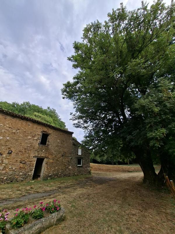 Maison - 225 m² - 7 pièces