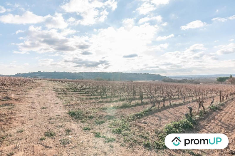 Terrain agricole - 57 000 m²