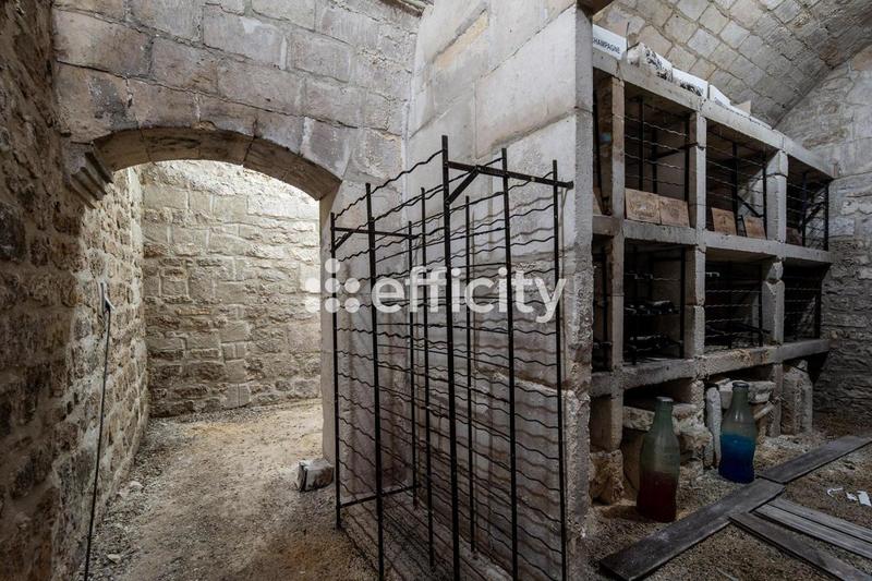 Château - 481 m² - 12 pièces