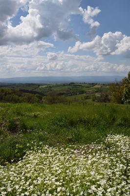 Terrain constructible - 516 m²