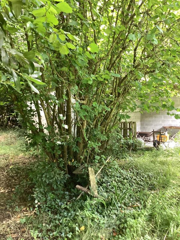 Maison - 115 m² - 6 pièces