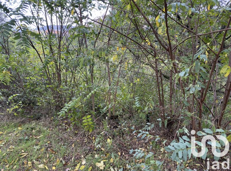 Terrain - 10 076 m²