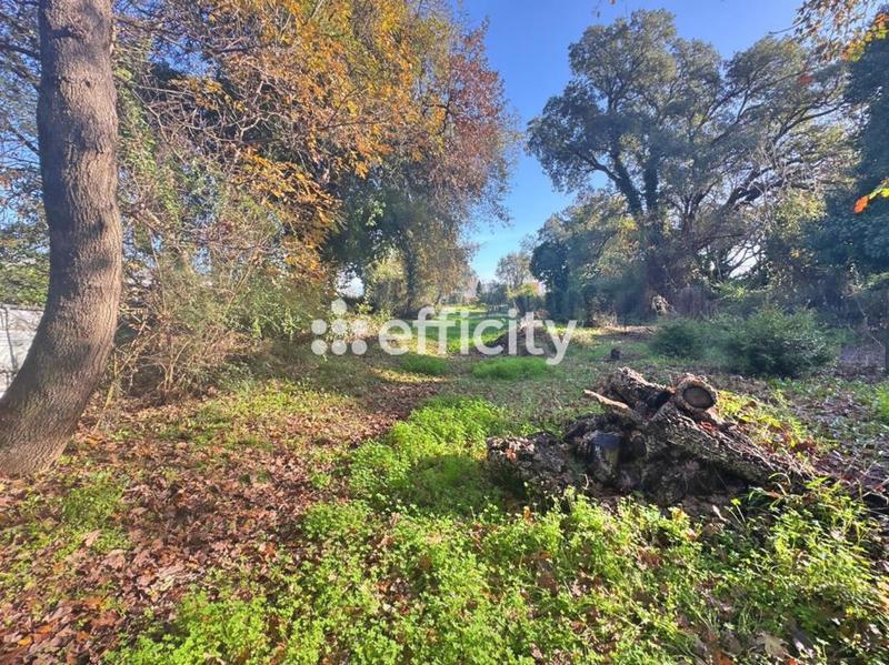 Pavillon - 160 m² - 5 pièces