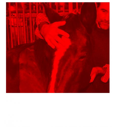 ostéopathe D.O, humain, équin, canin.