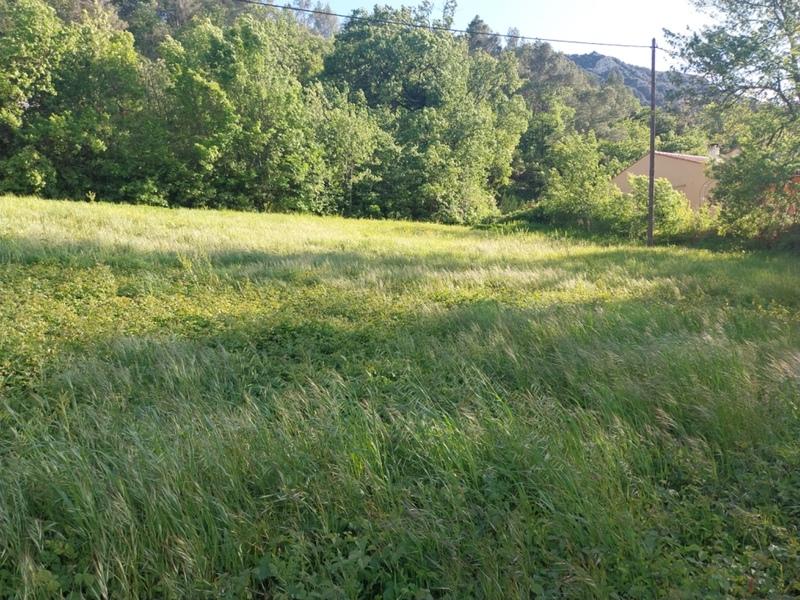 Terrain constructible - 1 262 m²