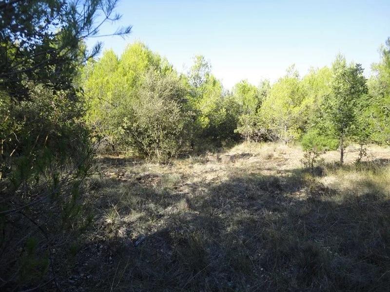 Terrain - 23 880 m²