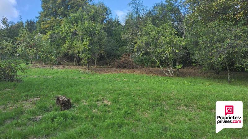 Maison - 286 m² - 10 pièces