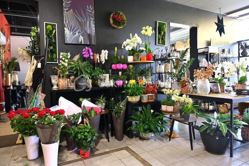 Local commercial - 71 m² - 2 pièces