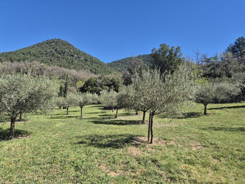 Maison de campagne - 210 m² - 7 pièces