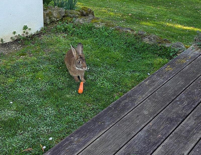 Maison - 123 m² - 6 pièces