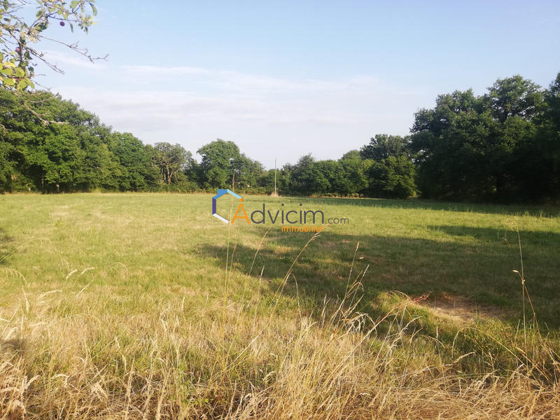 Maison - 74 m² - 3 pièces