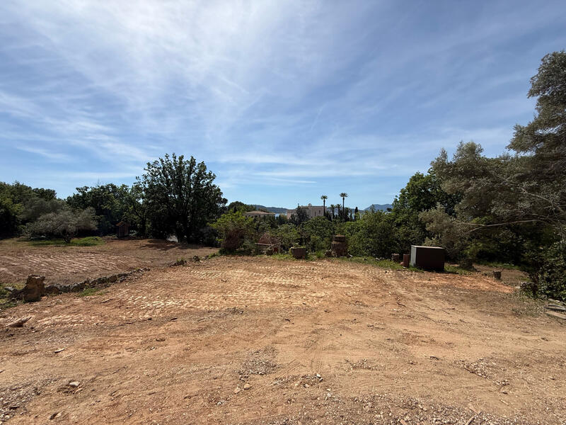 Propriété - 250 m² - 12 pièces