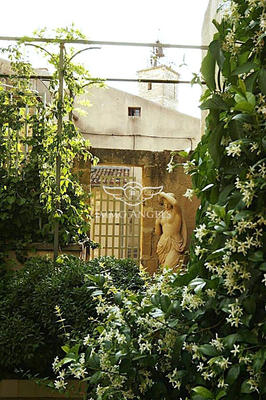 Maison - 976 m² - 24 pièces