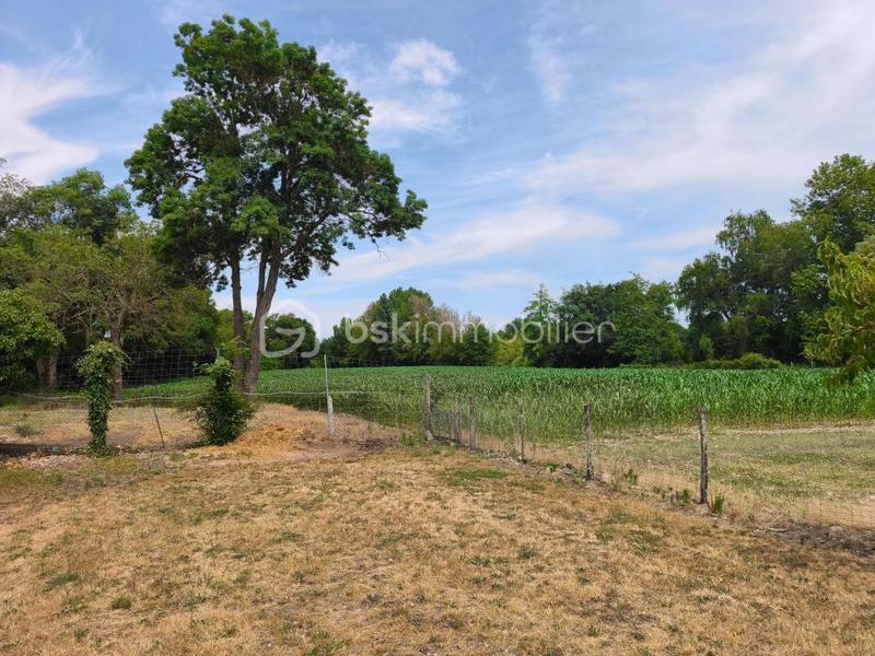 Maison - 315 m² - 3 pièces